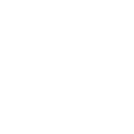 BL for MtJ